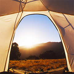 Day 15 - Explore more