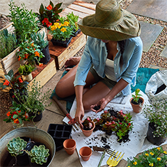 Day 7 - Plant colourful fruits and vegetables