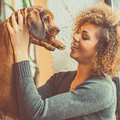 Day 22 - Volunteer at a local animal shelter