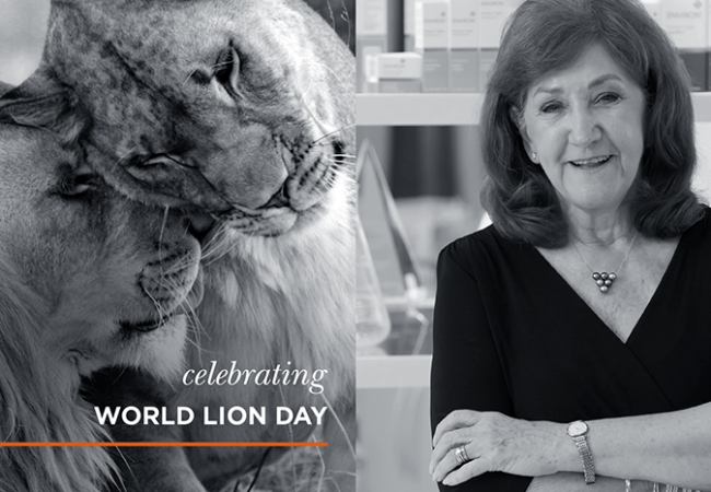 Photo collage of a lady and a lion